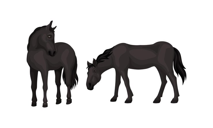 Vector horse breed as domestic oddtoed ungulate mammal vector set