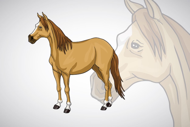 Vector horse brown cartoon white head vector illustration drawing