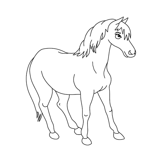 Карикатура на лошадях Векторная иллюстрация Милый рисунок карикатуры на лошадь Игральный конный дизайн