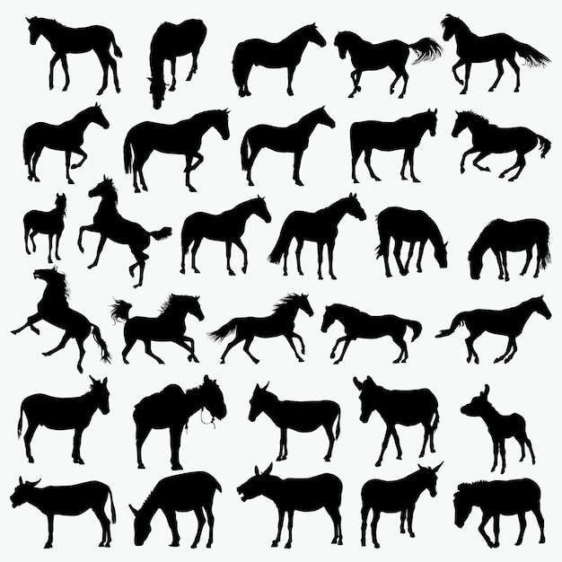 Horse donkey silhouettes