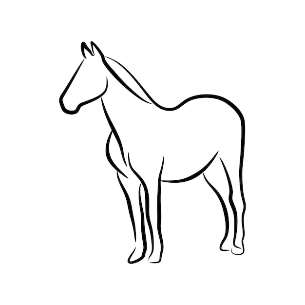 Horse hand drawn line art