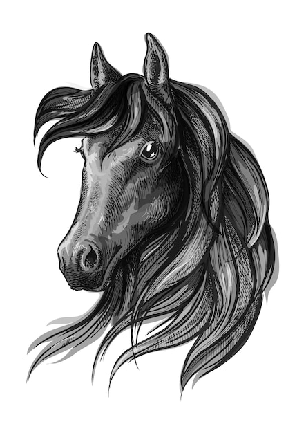 Vector horse head watercolor sketch portrait