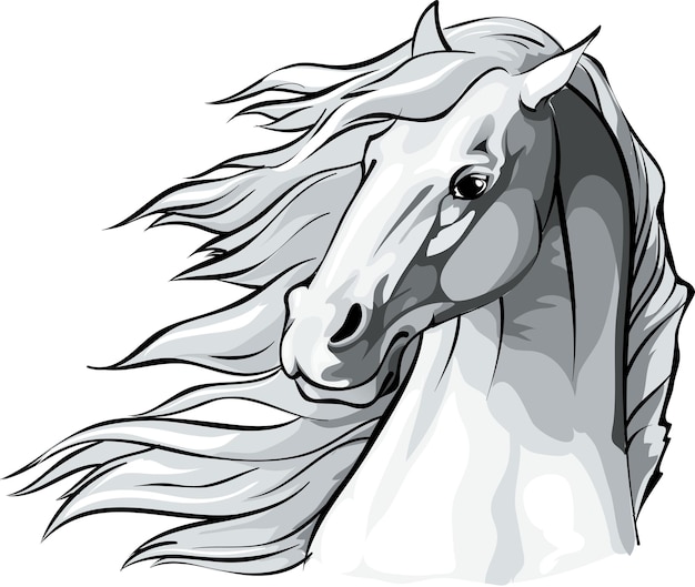 Horse head with mane flowing in the wind