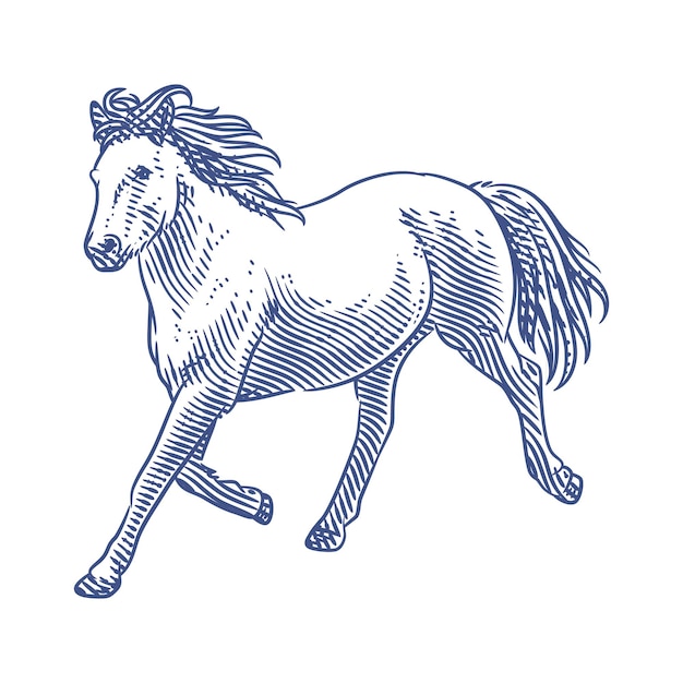 Horse line art vector illustration. Running horse line art