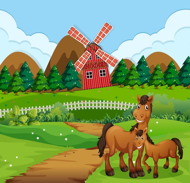horse in the nature