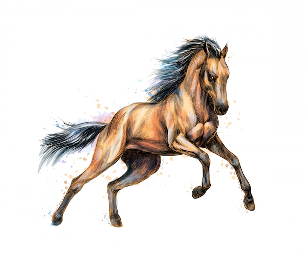水彩画のしぶきから馬を走らせます。手描きのスケッチ。塗料のイラスト