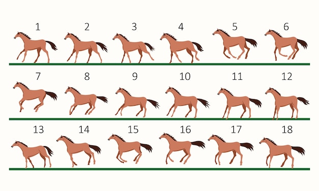 ベクトル 馬の走行アニメーション 馬の走行の 18 の重要な位置茶色の馬