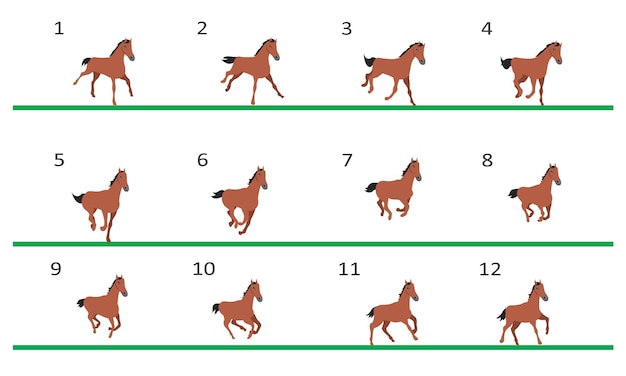 Horse running animation Twelve key positions of horse running Threequarter view