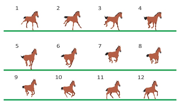 ベクトル 馬の走るアニメーション馬の走る12の重要な位置3/4ビュー