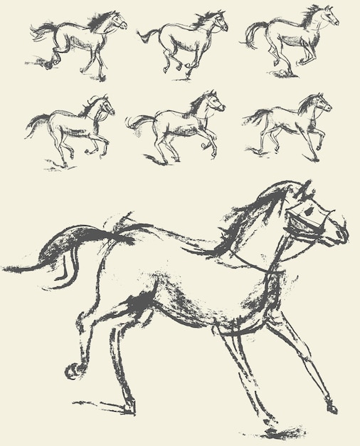 말. 세트. 손으로 그린. 벡터 일러스트 레이 션. 움직임의 단계