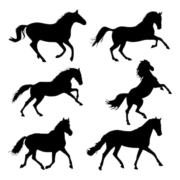 Vector horse silhouette collection isolated on white