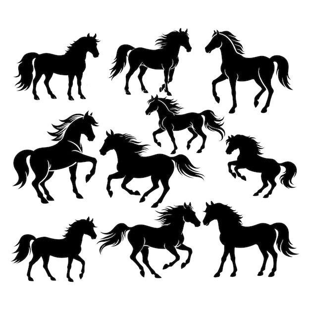 Vector horse silhouettes set horse silhouette collection on white background