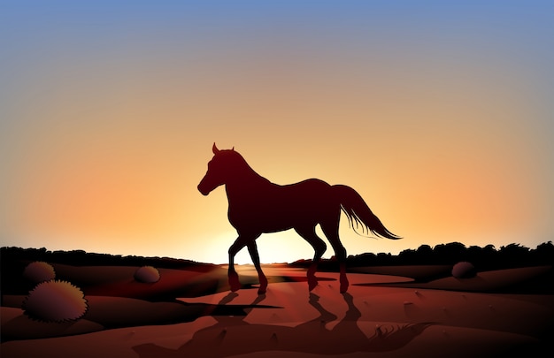 Vector a horse in a sunset scenery at the desert