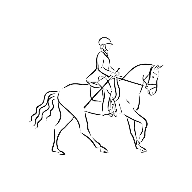 Horseback riding, horsemanship, sport contour vector illustration