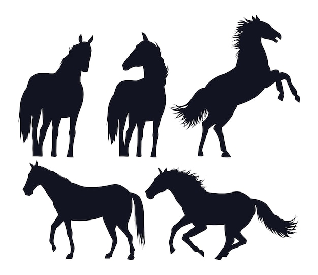 Horses black animals silhouettes isolated icons vector illustration design