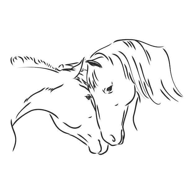 Лошади в любви штриховой рисунок племенных от руки векторные иллюстрации Лошадь сердце