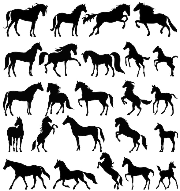 Horses set, vector silhouette collection, isolated, on white background