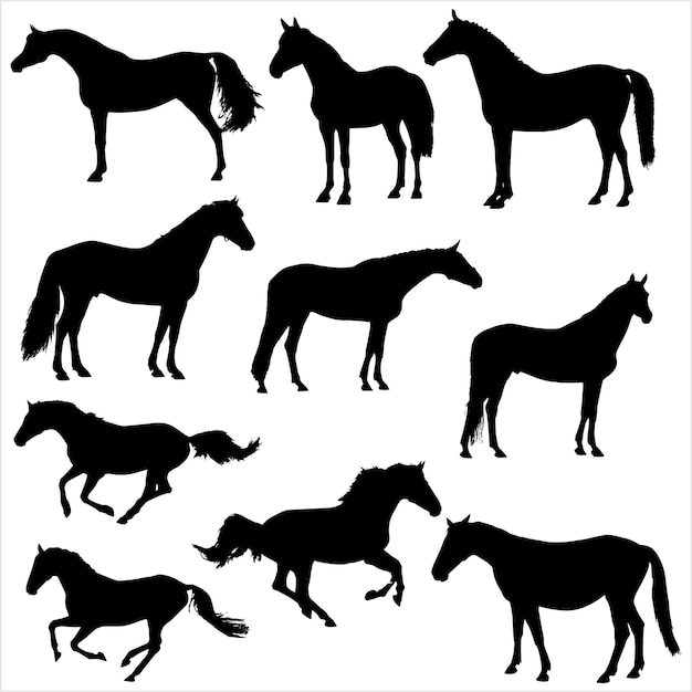 Horses silhouette set vector illustration Collection of Horse silhouette