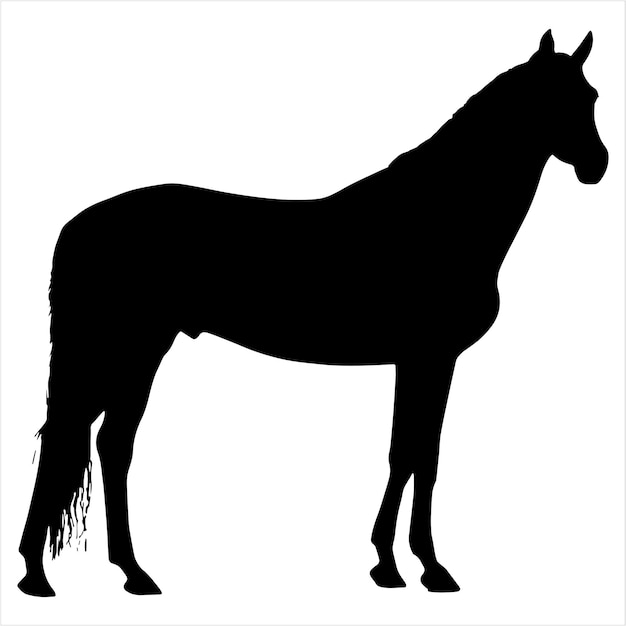 Horses silhouette vector illustration