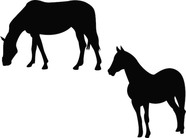 horses silhouettes