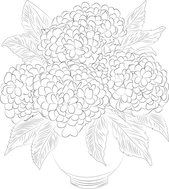 Hortensia Linear doodle kleurboek voor kinderen en volwassenen Voor kleurboeken Voor kleur