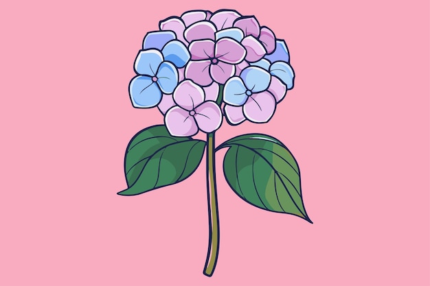 Vector hortensia's