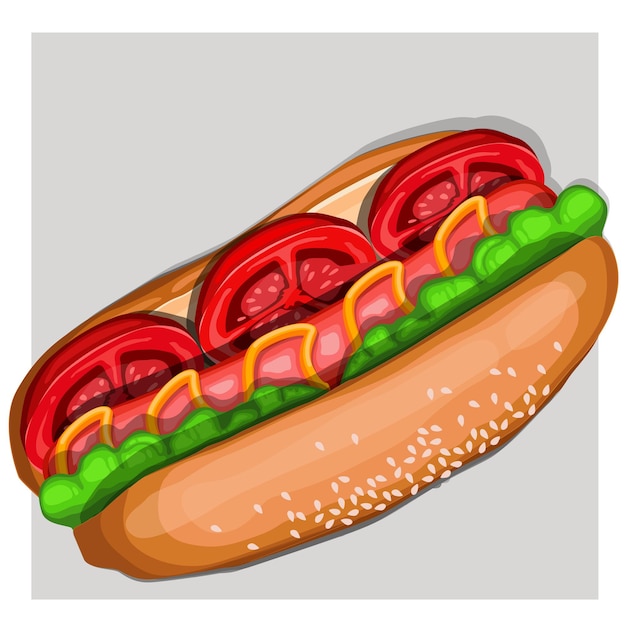 Vector hot dog (fast food  )