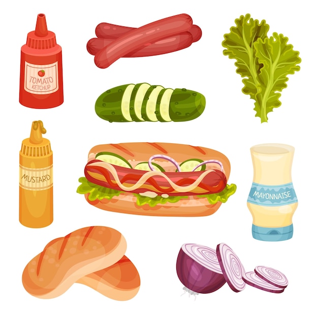 Hot dog ingredients isolated on white background vector set