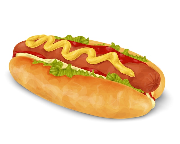 Hot dog isolated