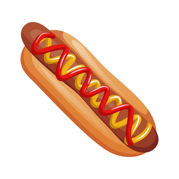 Vector hot dog on white