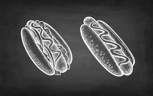 Vector hot dogs. chalk sketch on blackboard background.