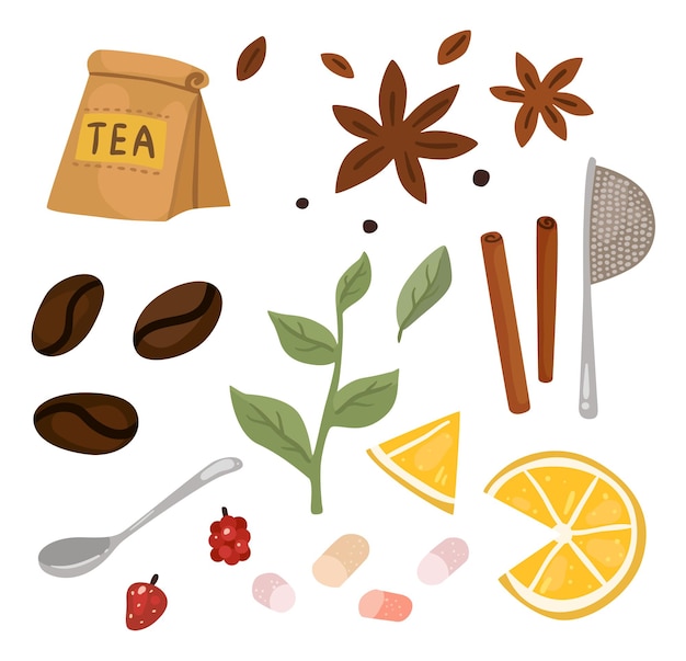 Hot drink Coffee beans Tea bag Leaves and anise Lemon piece Aroma additives Cinnamon and raspberry Stevia sweetener Sieve and spoon for beverage preparation Vector elements set