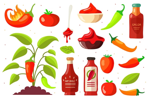 Vector hot pepper set hot pepper seedling ketchup salsa sauce tomato