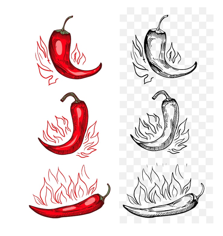 Vector hot pepper sketch gravure stijl hand getekend set vector illustratie zwarte omtrek