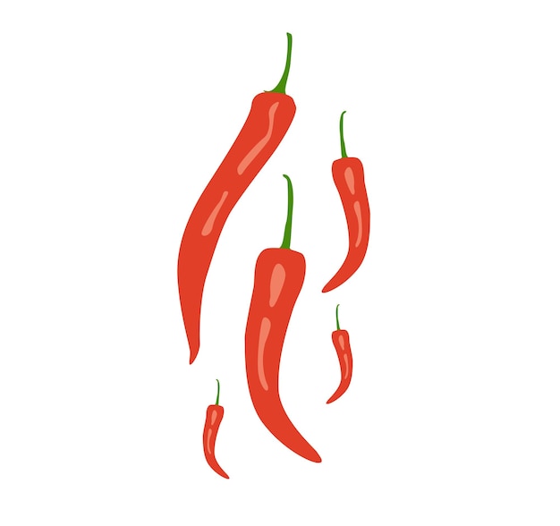 Vettore peperoncino rosso piccante. premio di vettore