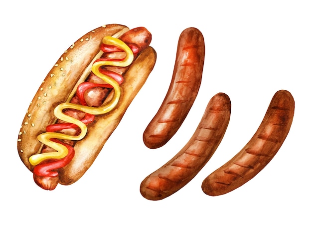 Vector hotdog en gegrilde worst waterverf met de hand getekende illustratie