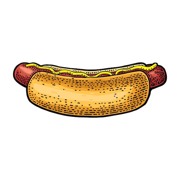 Hotdog with mustard Side view Vector engraving