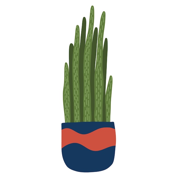 흰색 배경에 고립 된 파란색 냄비에 집 장식 식물 이국적인 sansevieria cylindrica