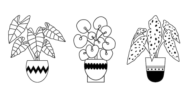 Домашние комнатные растения графические рисованной иллюстрации набор горшечных растений