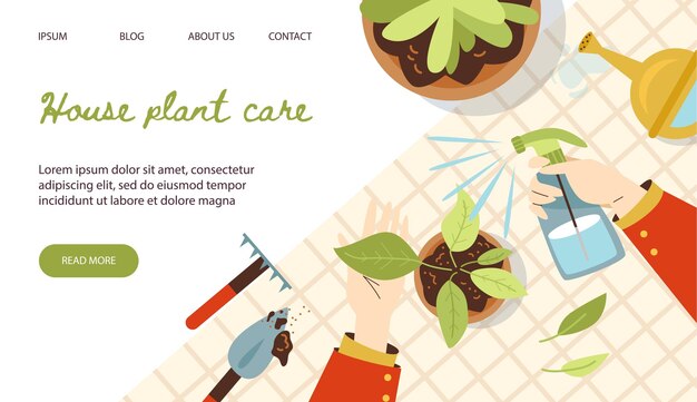 Banner per la cura delle piante di casa con attrezzi da giardino e piante illustrazione vettoriale piatta