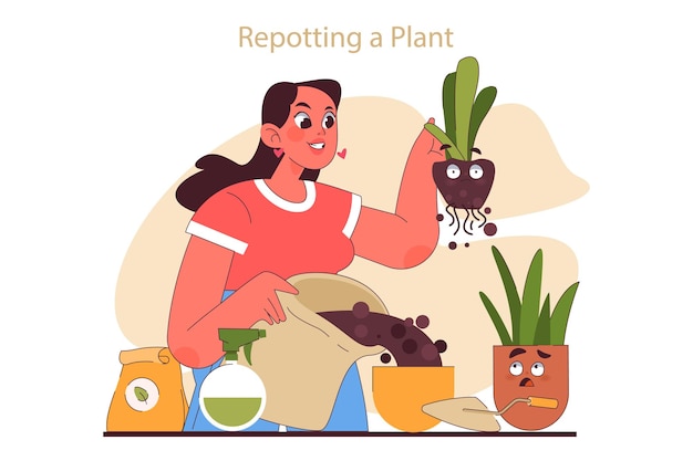 House plant care tips Woman enjoy gardening taking care and repotting