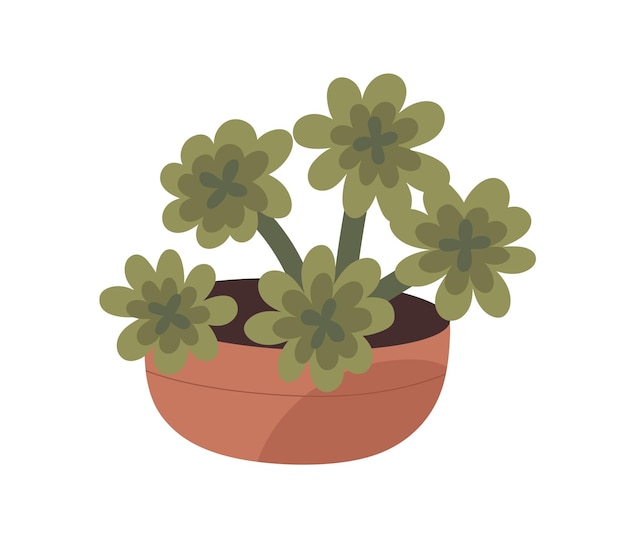 House plant in clay pot. Succulent, natural green home and office decoration. Houseplant growing in flowerpot. Modern room decor. Flat vector illustration isolated on white background