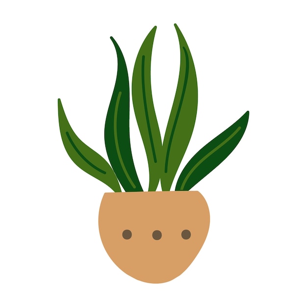 House plant design. Vector illustration.