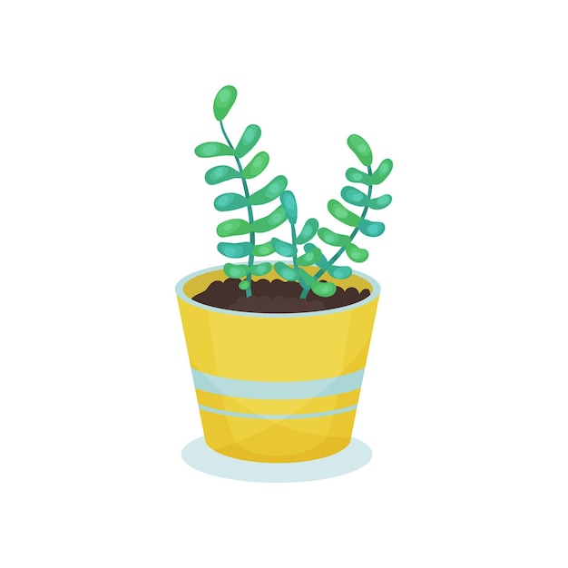 Vector house plant in flower pot element for decoration home interior vector illustration on a white background