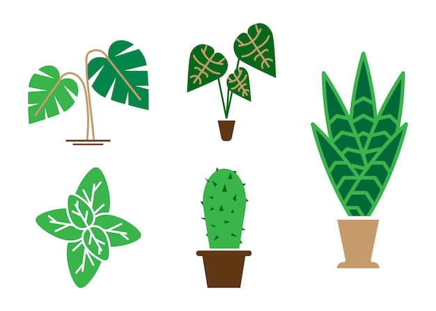 House plant icon set illustration clipart