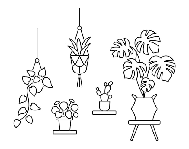 Vector house plant line art with editable stroke