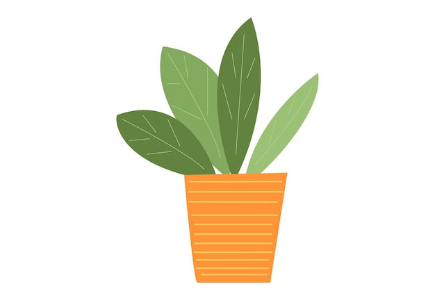 House plant in orange pot in flat style green leaves stylish minimalistic interior decoration