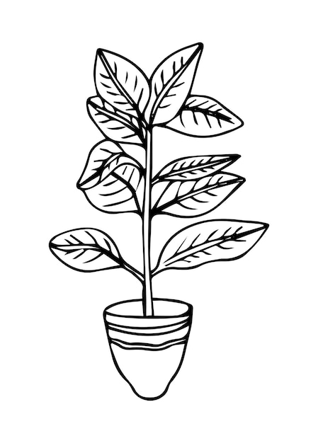 House plant in pot. Potted plant in black and white line drawing style. Vector illustration isolated