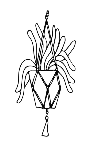 鉢植えの観葉植物。白黒の線画風の鉢植え。分離されたベクトル図