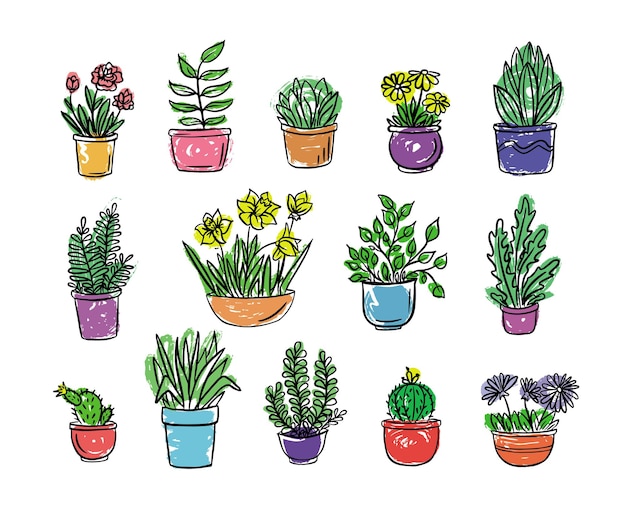 colorVectorillustratorDoodleのインテリア用の鉢植えの観葉植物と花